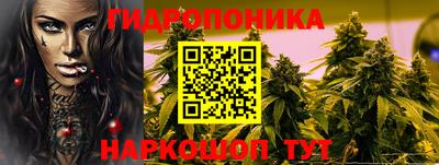 прущие грибы Тула