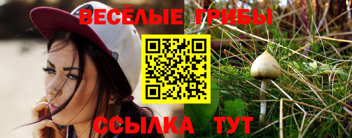 Москва  Псилоцибиновые грибы Psilocybine cubensis  Вход с VPN  Псилоцибиновые грибы Magic Shrooms 